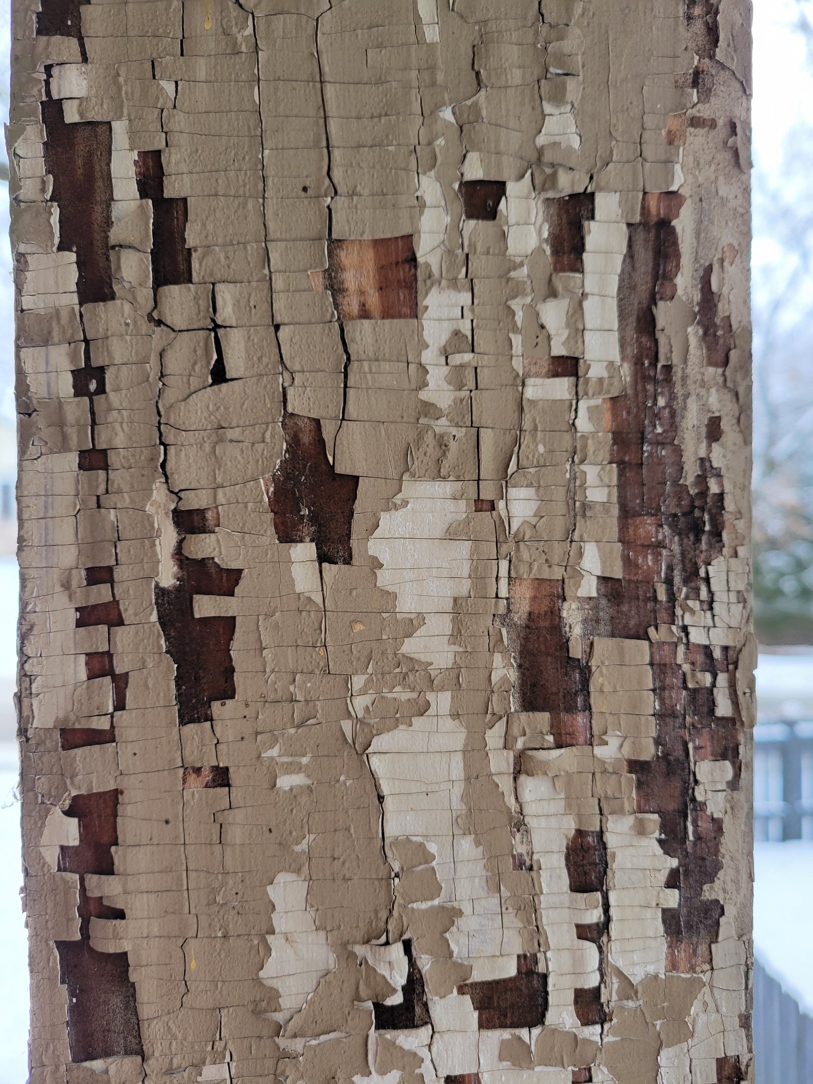 Where have the years gone?